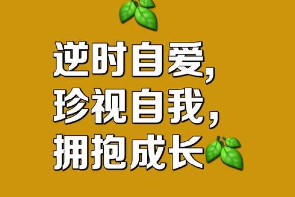 命里没有儿子的人该如何面对生活与自我成长