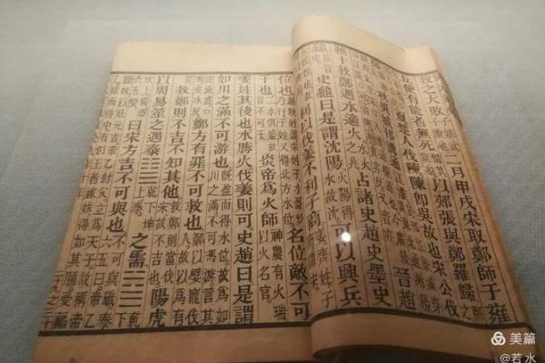 高山木命：适合的工作与职业发展之路