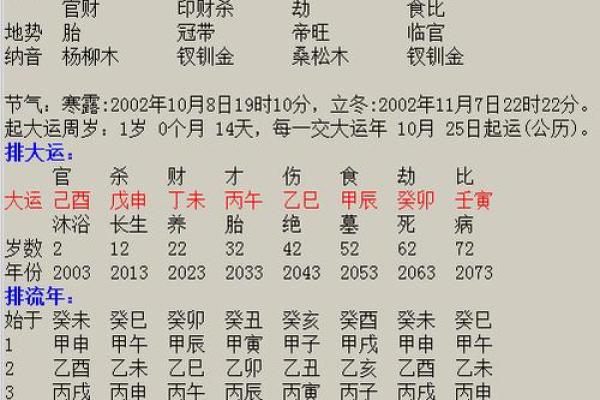 腊月25日出生的人命盘解析：命运与性格的深度剖析