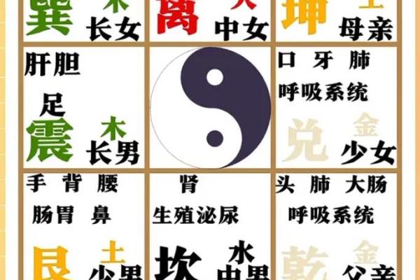 58年出生的人命缺什么？揭秘命理背后的秘密与人生启示