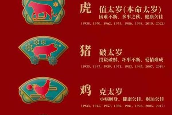 10月属猪男性的命运解析：从五行八字看人生轨迹