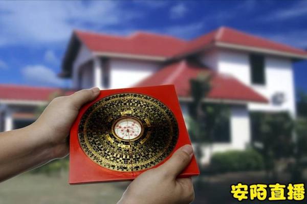 1999年兔宝宝命理解析：最适合的月份与命运启示