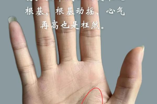 粗短女孩手指的命运解读：从掌纹看个性与未来