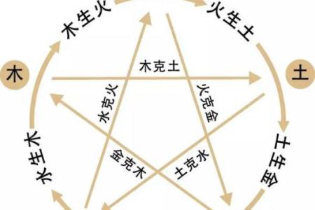 2000年酉时出生的命运分析：探索金鸡的智慧与风采