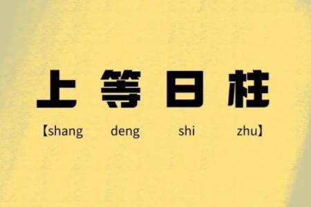 探索金命日柱：铸就辉煌人生的秘密之钥