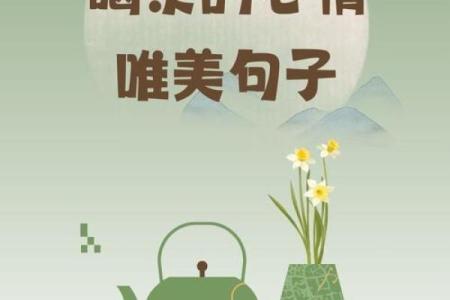 无欲无求，静享人生的诗意与宁静