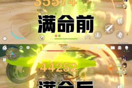 六命诺艾尔与零命的区别：探秘角色成长的奥秘