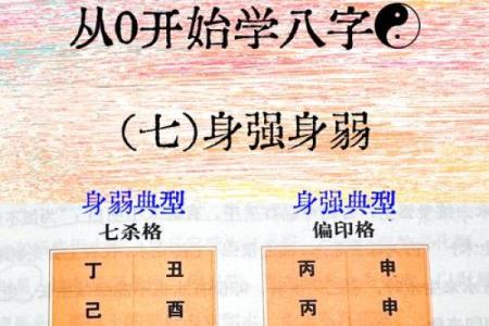 算命不收费：命运的秘密与指引