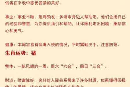 了解1991年属什么的命格与其人生运势分析