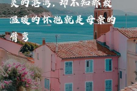 母爱如山，亲情似海：母子相依的深厚情感