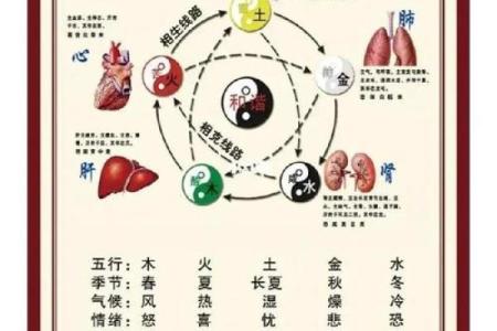 炉中火命缺水，如何调和五行，重塑人生格局