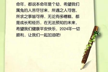 1987兔命解析：缺失与补充，助你迎接美好机遇！