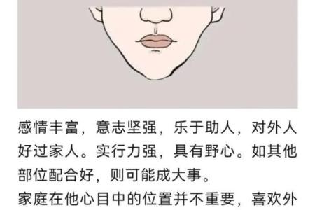 下巴大的男人：解密这类男性的性格与命运优劣势