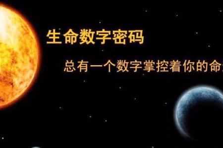 如何通过命缺查询系统，找到属于你的命运密码