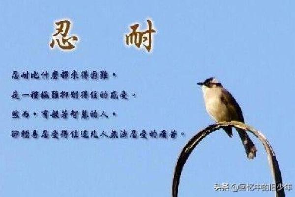 桑松木命是什么属相？解读桑松木命的奥秘与人生智慧
