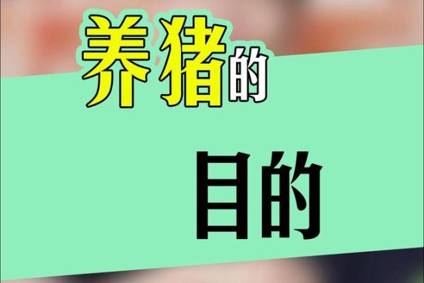 适合养猪赚钱的人命理，如何选择最佳养猪时机与策略