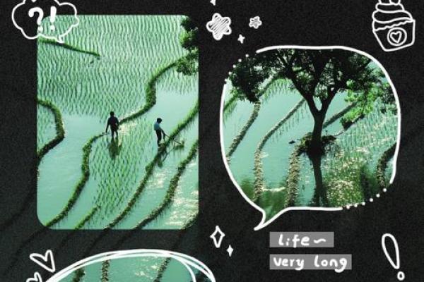 客死异乡的命运：漂泊者的心声与归属的渴望