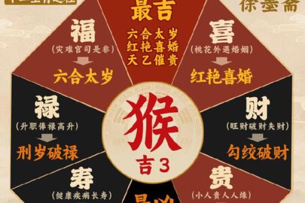 属猴子的人命运与婚姻的深度解析