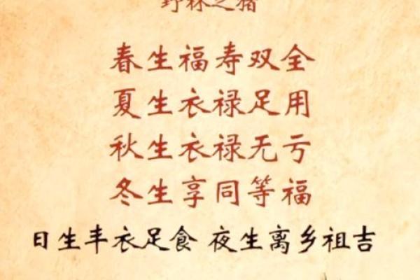 山头火命的人适合佩戴什么颜色，带给你好运与活力！