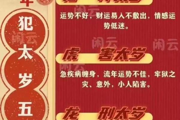 庚午年生人的命运解析：细说金马相伴的生活之道