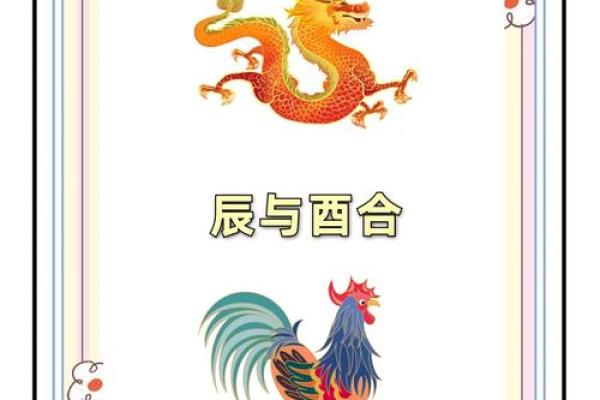 改命的意义与生肖的奥秘解析