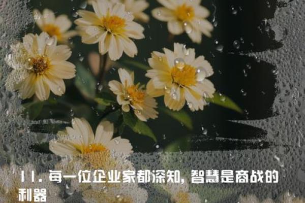 瓜子里的命运：探索人生与选择的奥秘