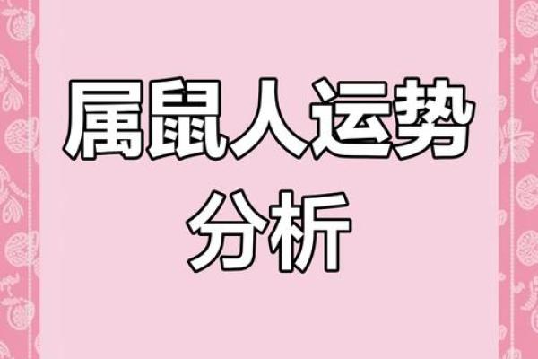 1984年鼠年命运揭秘：探寻你的未来与机遇