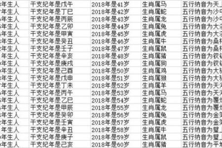 揭秘2018属狗男孩的命运缺失与修复之道
