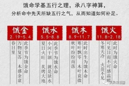 看命理，透视人生，如何根据命缺找到适合自己的方向与事业？