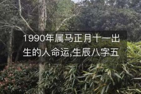 探秘1990属马之人：生肖与命运的奇特关联