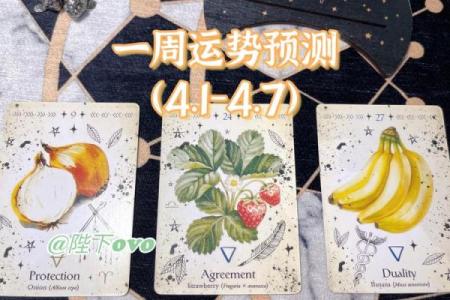 好运与挑战：通过塔罗牌探索你的命运