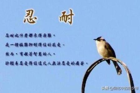 桑松木命是什么属相？解读桑松木命的奥秘与人生智慧