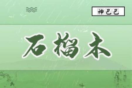 庚申石榴木命者：如何化解命局中的忌讳与挑战