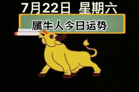 73年属牛人的命运与缺失，解读人生的精彩与挑战