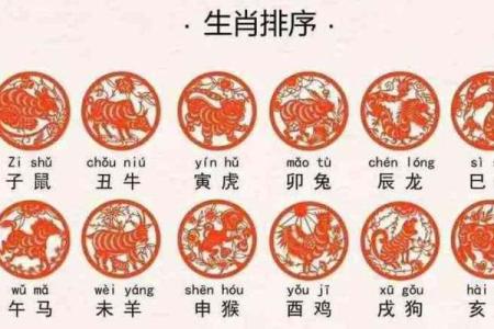 属鸡的人命运解析：2005年出生的生肖鸡与命理的关系