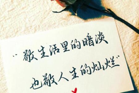 命里带编的人生配置：如何用自身优势提升生活品质