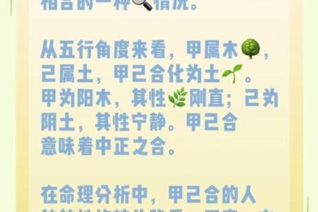 探索甲木命的生相特点与命理之路