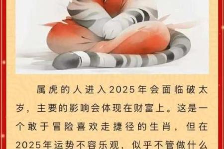 探索乙己的生肖与命理：解读其个性与人生轨迹