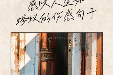 25岁死亡，命运的转折与人生的深思
