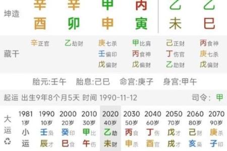 2019腊月出生的人命理分析：探索命运与性格的奇妙联系