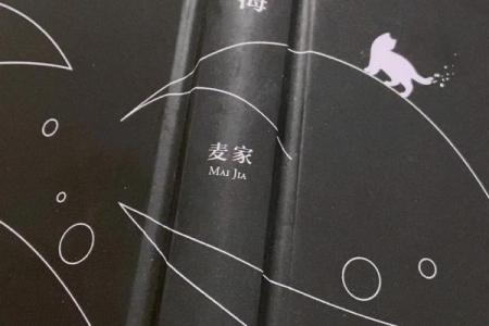 五四年出生的命运揭秘：探索人生的奇妙旅程