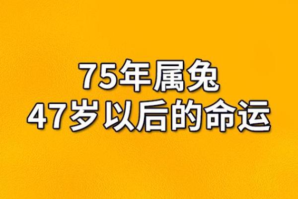 属兔2018年的命运解析：探寻兔年人的幸福之路