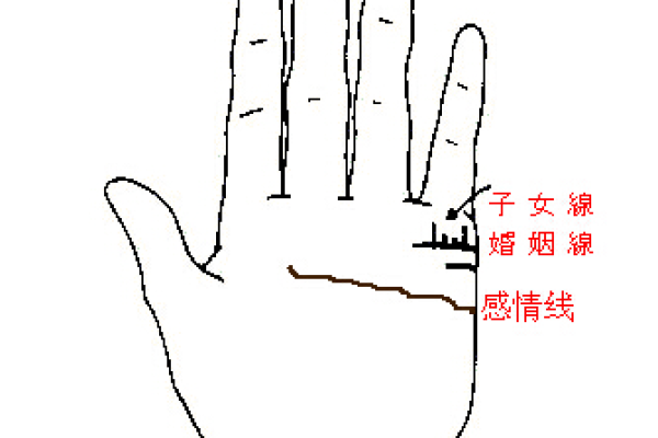 从八字看女命，揭示你的婚姻时间与幸福密码