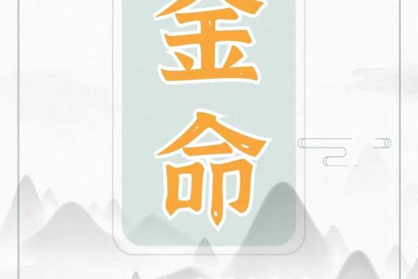 属木与属水命人的性格、运势与生活指导