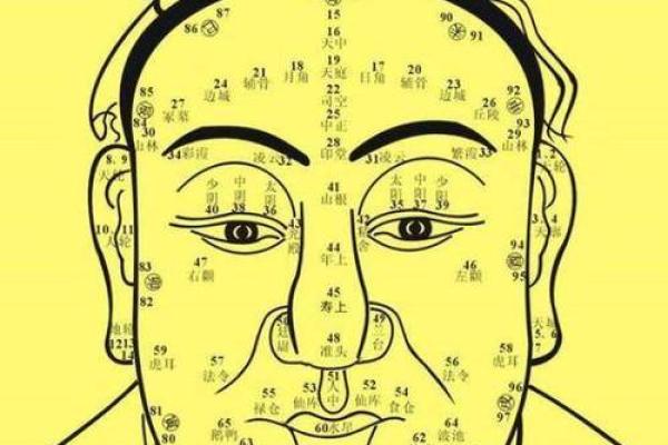 揭秘额头宽圆脸人的命运特点与性格分析