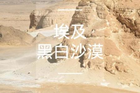 探秘砂石金命：适合的字与生活哲学之道