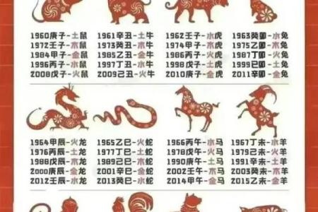 2014马年出生的命运解读：揭秘你的生肖吉凶与人生方向