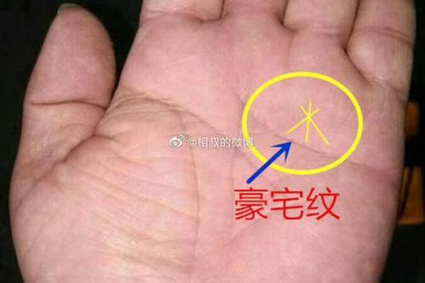 揭秘手纹：早婚命格的秘密与解读