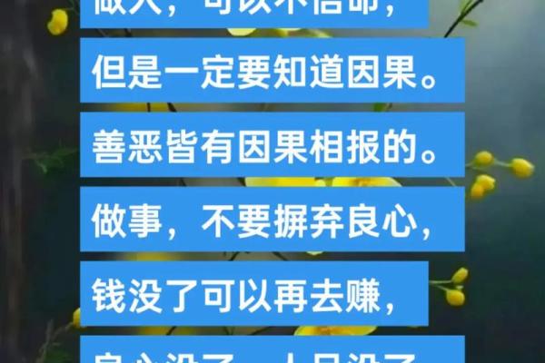 因果法则：人如命，命如人，揭示命运奥秘的短句哲学