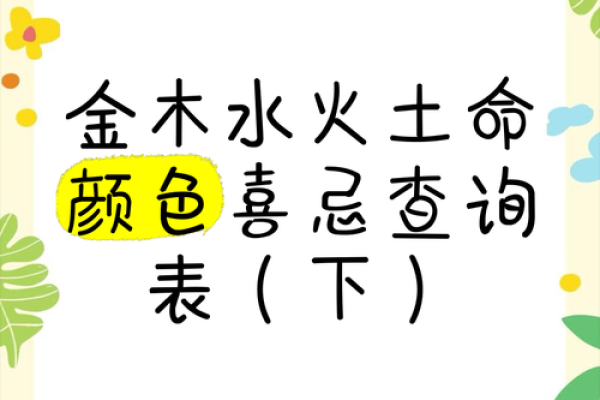 水命人最佳颜色解析：如何运用色彩提升生活品质与运势